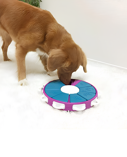 Keep Pets Active, Engaged, and Happy