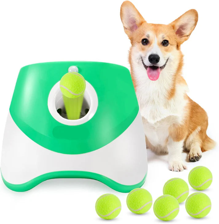 Bau & Miao™ Lancia palline – Giocattolo automatico con palline
