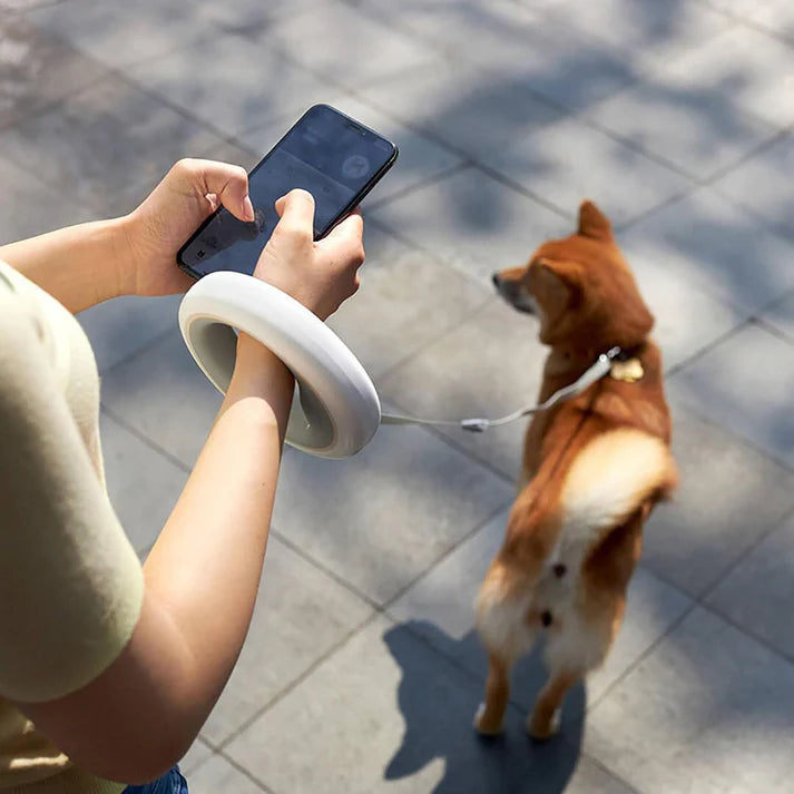 Set collare Bau & Miao™ – Guinzaglio retrattile per cani