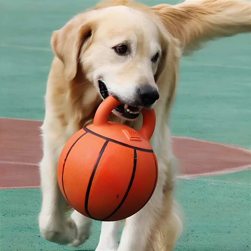 Bau & Miao™ Gioco di Addestramento – Palla Giocattolo per Cani