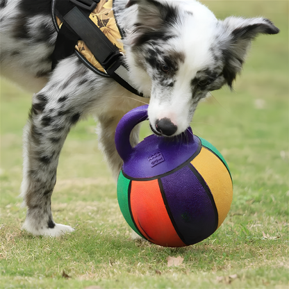 Bau & Miao™ Gioco di Addestramento – Palla Giocattolo per Cani