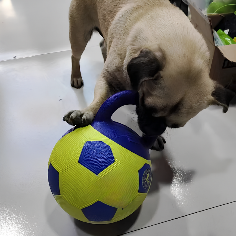 Bau & Miao™ Gioco di Addestramento – Palla Giocattolo per Cani