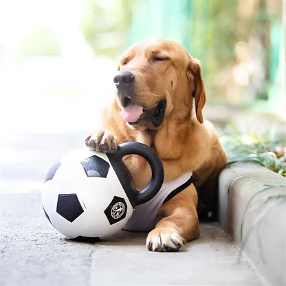 Bau & Miao™ Gioco di Addestramento – Palla Giocattolo per Cani