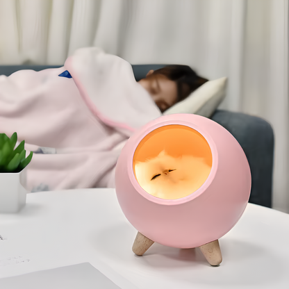 Bau & Miao™ Lampada USB – Luce notturna per gatti