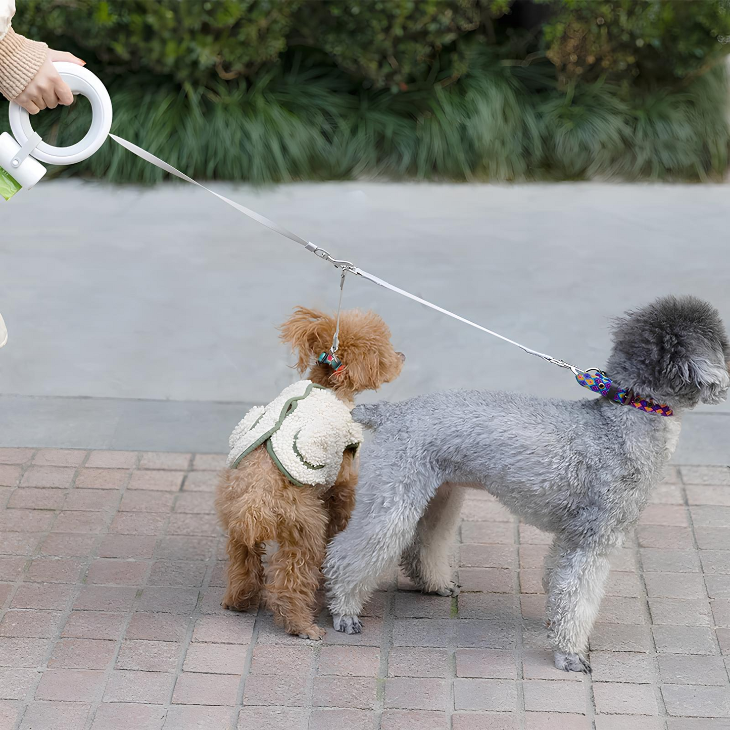 Set collare Bau & Miao™ – Guinzaglio retrattile per cani