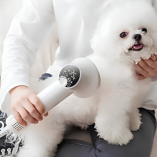 Bau & Miao™ Grooming Care – Spazzola e asciugatrice per animali