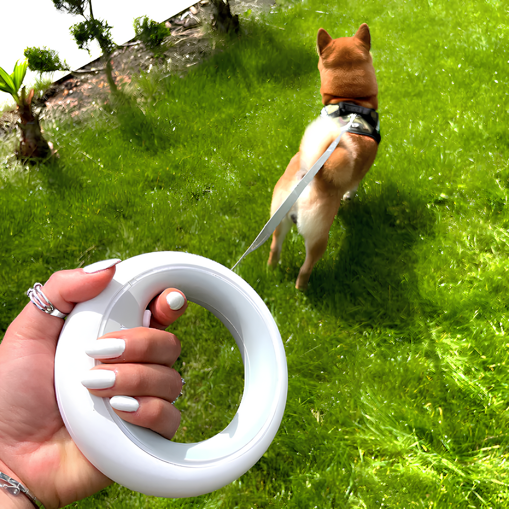 Set collare Bau & Miao™ – Guinzaglio retrattile per cani